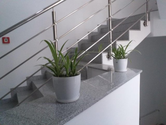foto5.jpg